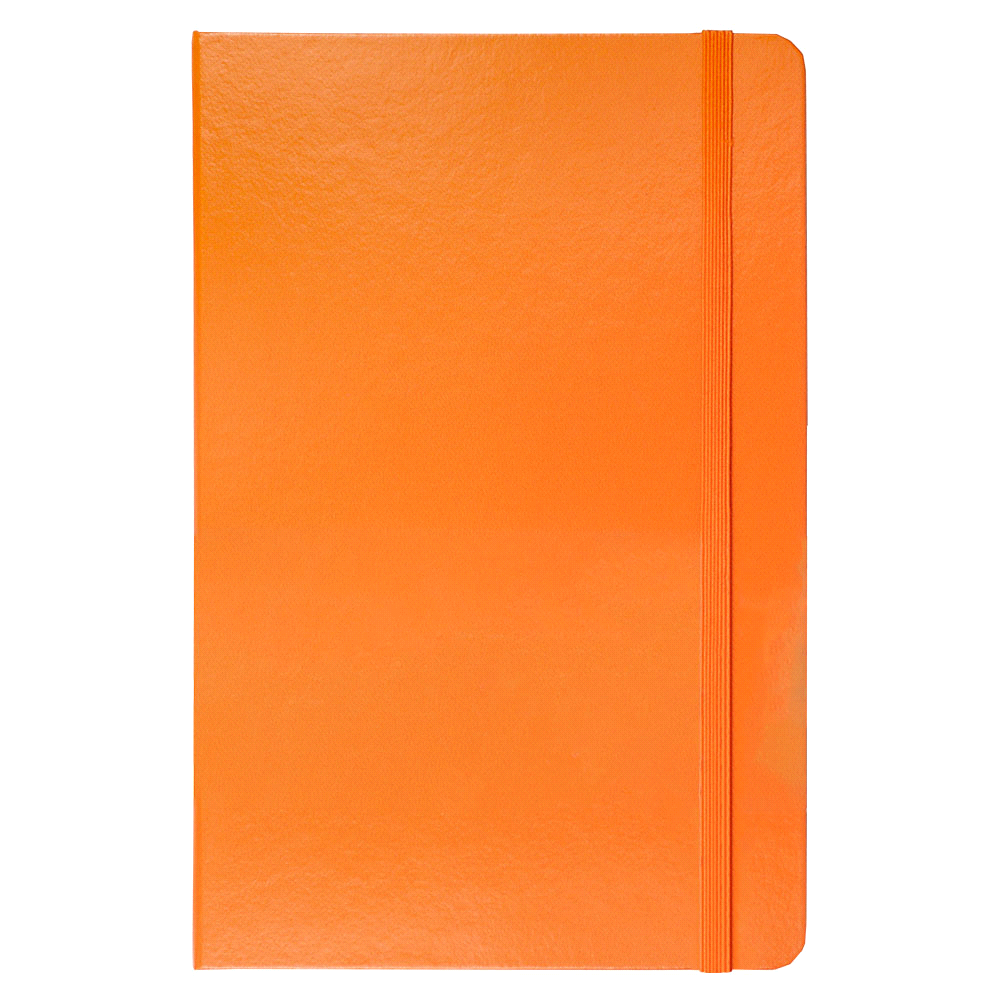 Ambassador Bound Journal Book