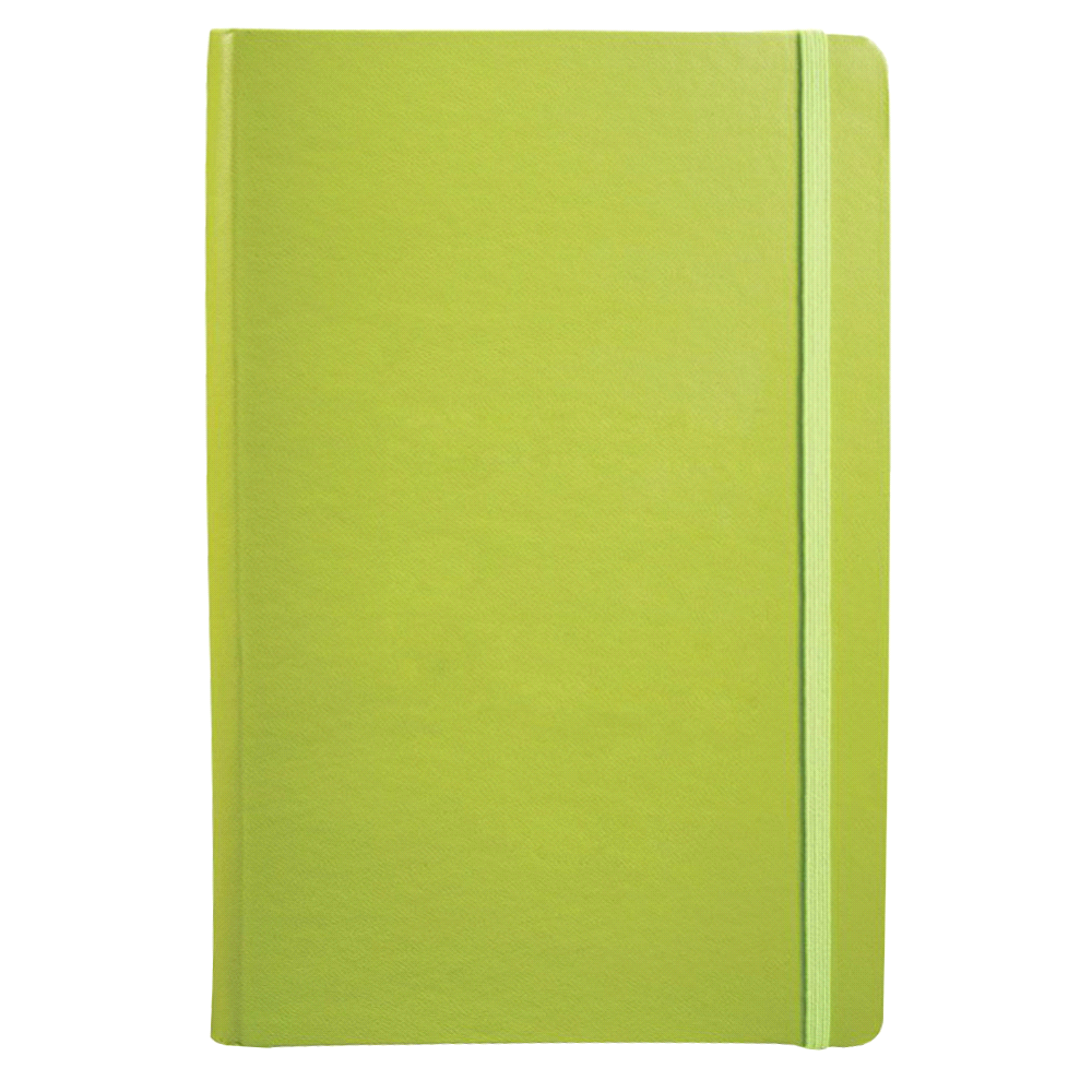 Ambassador Bound Journal Book