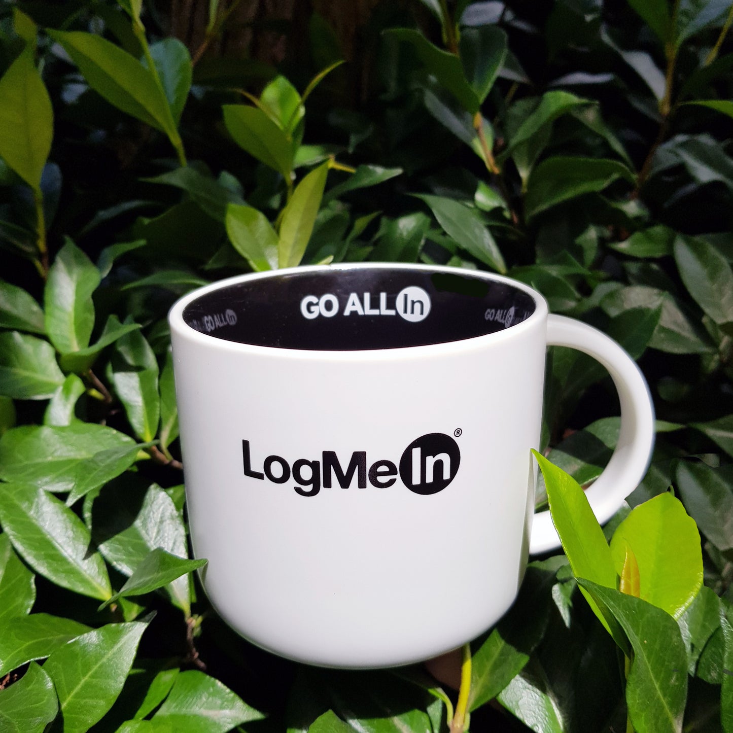 Tint Mug