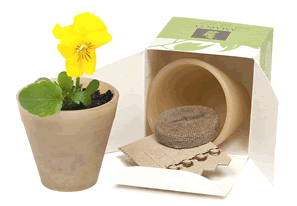 Seed Stick Grow Box