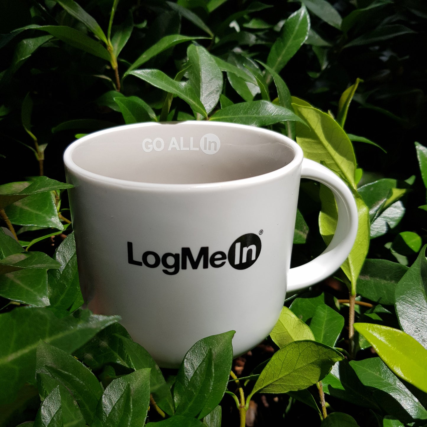 Tint Mug