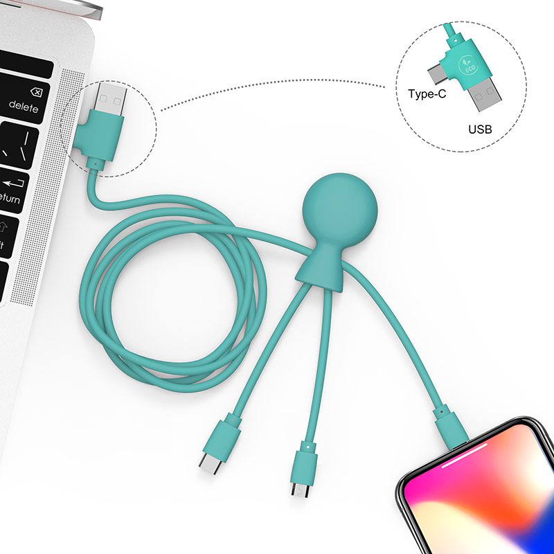 Mr Bio Long Charging Cable